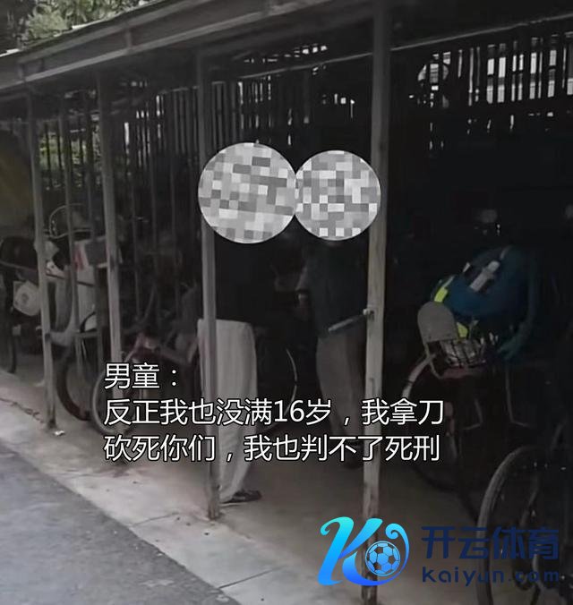 女子全球车棚泊车遭男孩威逼打骂 法律训诫鸡犬相闻